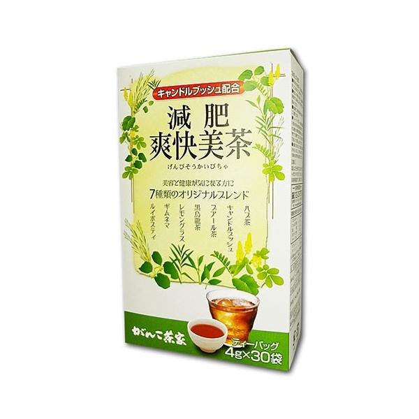 Ganko Chaya Weight Loss Soukai Bicha Tea 4g x 30 bags
