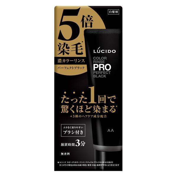 Mandom LUCIDO Color Rinse PRO Perfect Black 120g