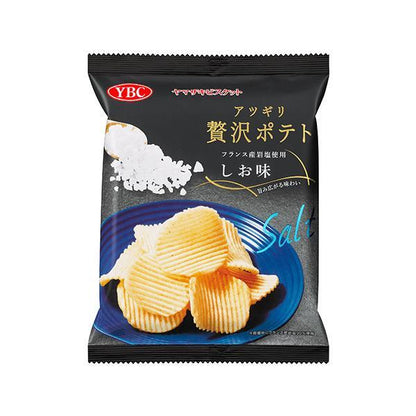 Yamazaki Atsugiri Luxury Potatoes with French Rock Salt  Salt Flavor 55g