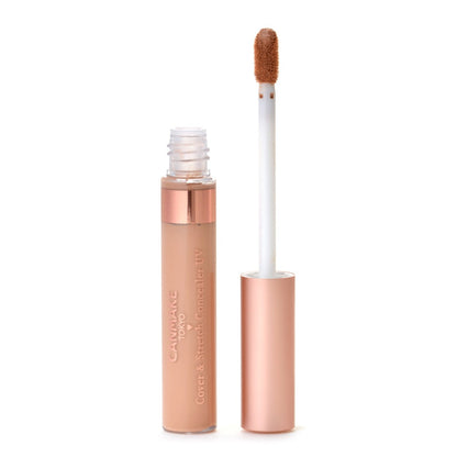 [Japan] CANMAKE TOKYO Highly Extendable UV Protective Concealer Stick Concealer 01 Light Skin 02 Natural Skin SPF25・PA++