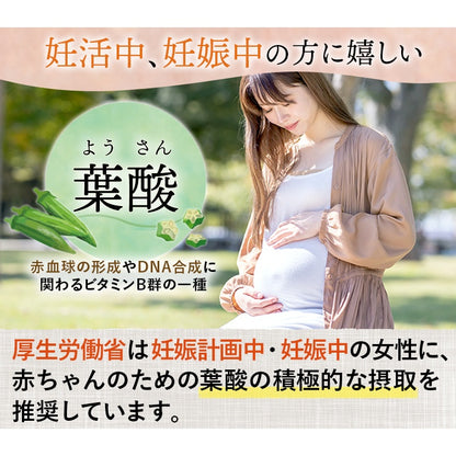 Japan Kagoshima Yell Okra Potage Soup 2 bags (18g x 2 bags) Okura /folic acid/ baby / maternity okra powder okra japan