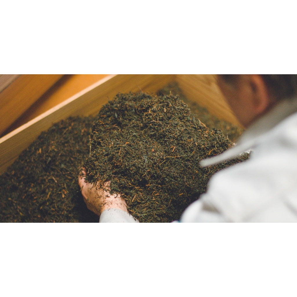 Japan Kagoshima Sasano Tea Farmers Black Tea - Benifuuki - Premium/1st Flush/2nd Flush/ tea japanese tea from japan direct from japan tea box