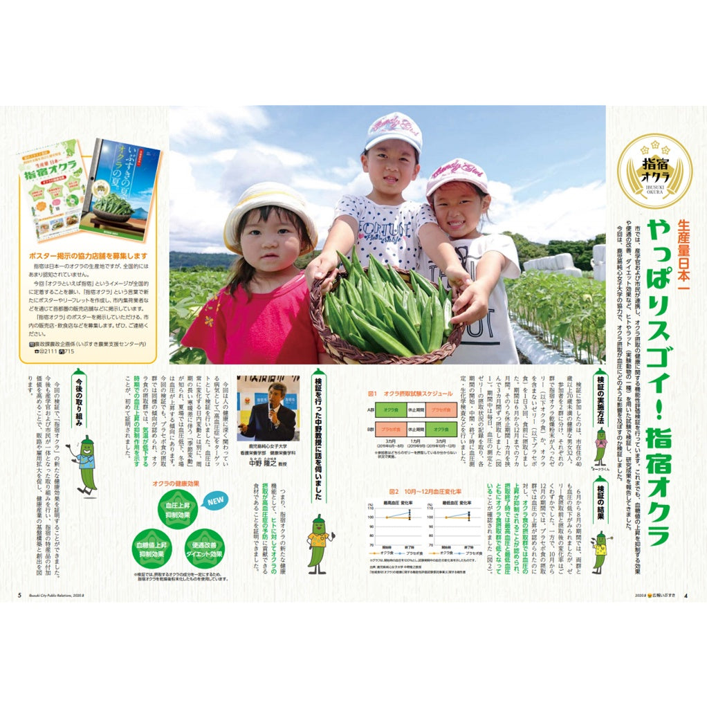 Japan Kagoshima Yell Okra Potage Soup 2 bags (18g x 2 bags) Okura /folic acid/ baby / maternity okra powder okra japan