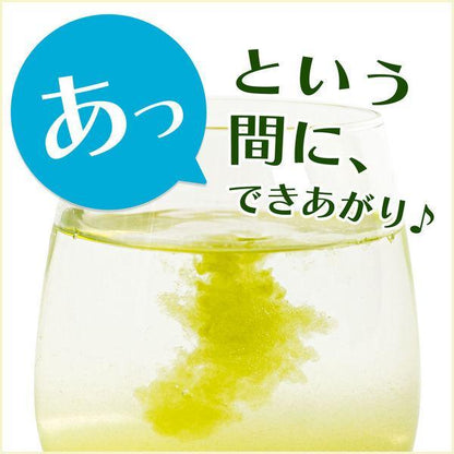 Japan ITO EN Oi-Ocha Powder Green Tea with Matcha / Hojicha 32 pcs. JB