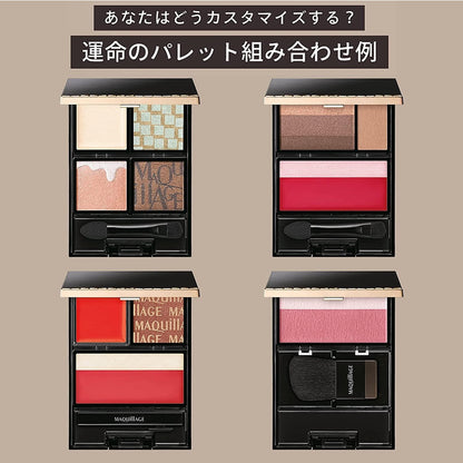 ［In stock］ Shiseido Maquillage Customize Case Black