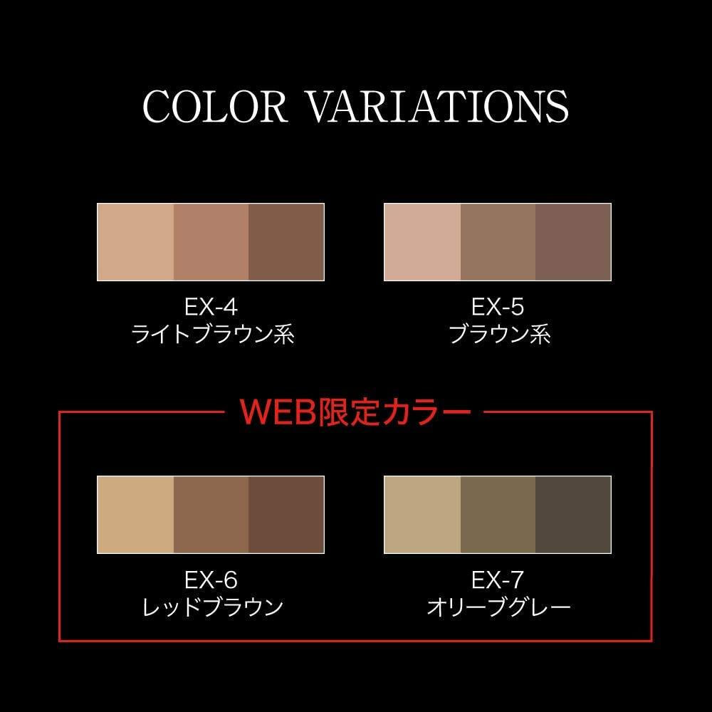 Kanebo KATE Designing Eyebrow 3D Powder EX-4/EX-5/EX-6/EX-9/EX-10/EX-11