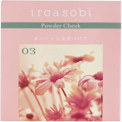 Iroasobi Powder Blush - 01 Sheer Purple / 02 Soda Blue / 03 Pink Beige / 04 Classic Plum (1pc)