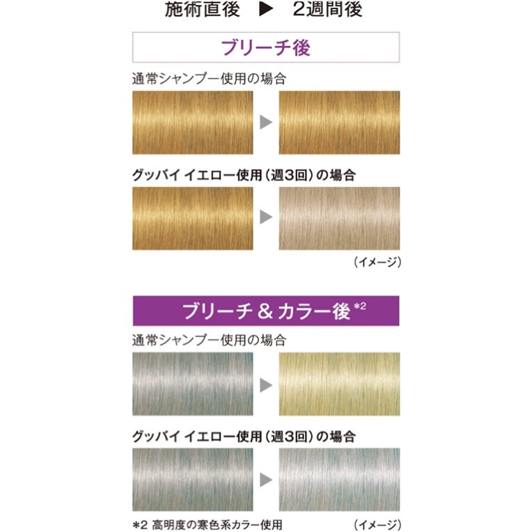 2022 Goodbye Yellow Color Shampoo / Orange Color Shampoo 310g