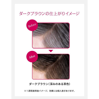 Shiseido Prior Color Conditioner N Black / Dark Brown / Brown /230g Japan Cosme Cosmetic Beauty Products Hair Care