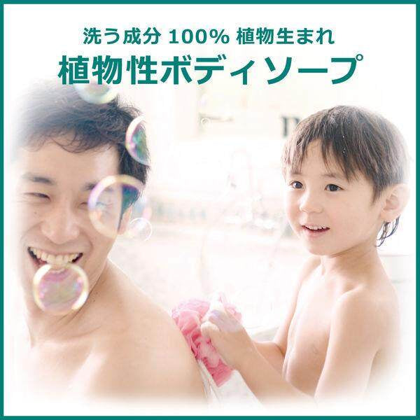 Kracie Naive Chiikawa Body Soap - Body Wash (530mL) / Foaming Body Wash (600mL)