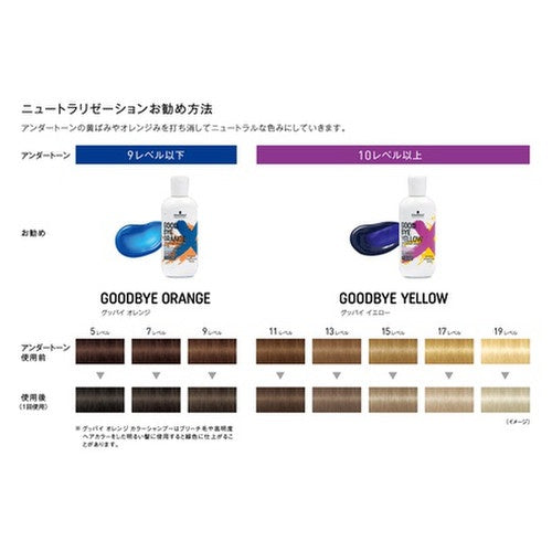 2022 Goodbye Yellow Color Shampoo / Orange Color Shampoo 310g
