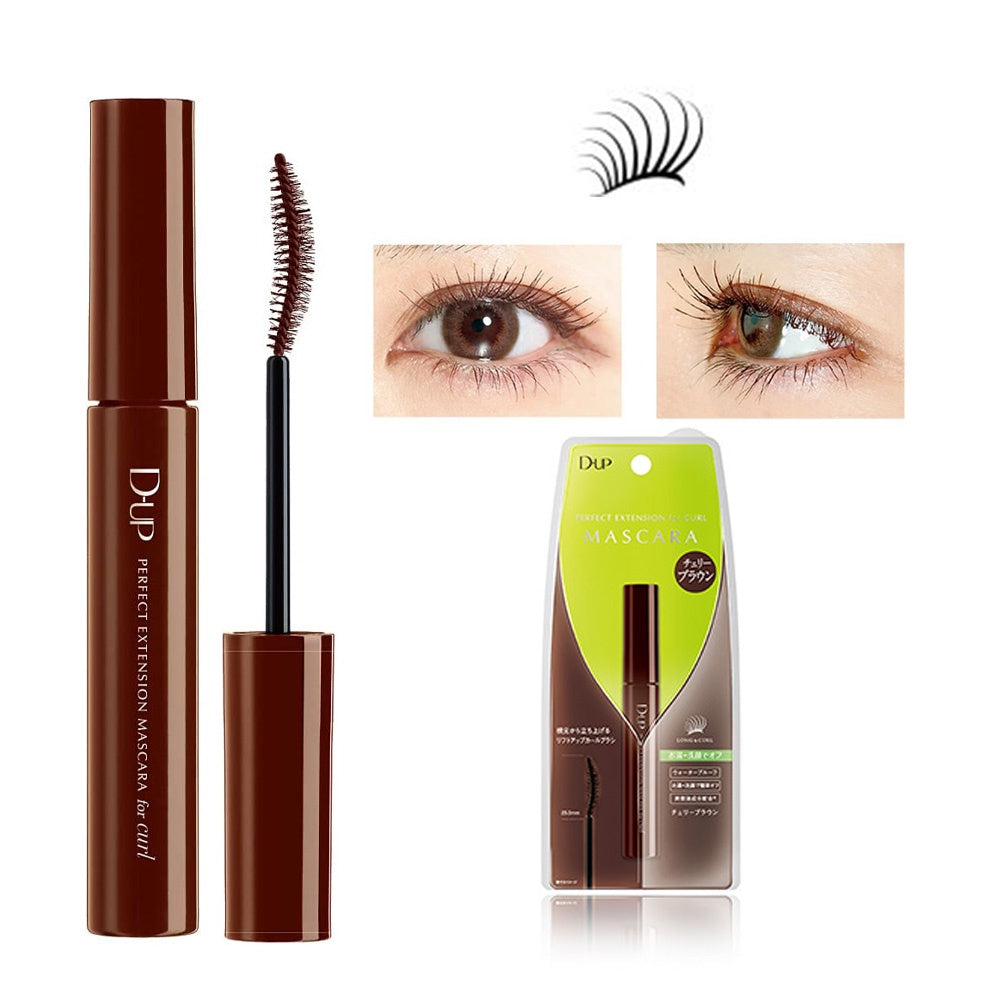 D-UP Perfect Extension Mascara for Curl / Curl Keeper