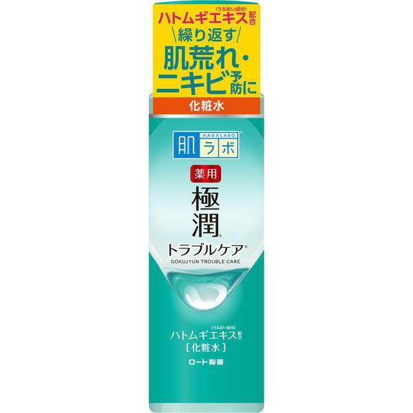 Rohto Hada Labo Medicinal Gokujyun Skin Conditioner Face Lotion 170ml ( Bottle / Refill )