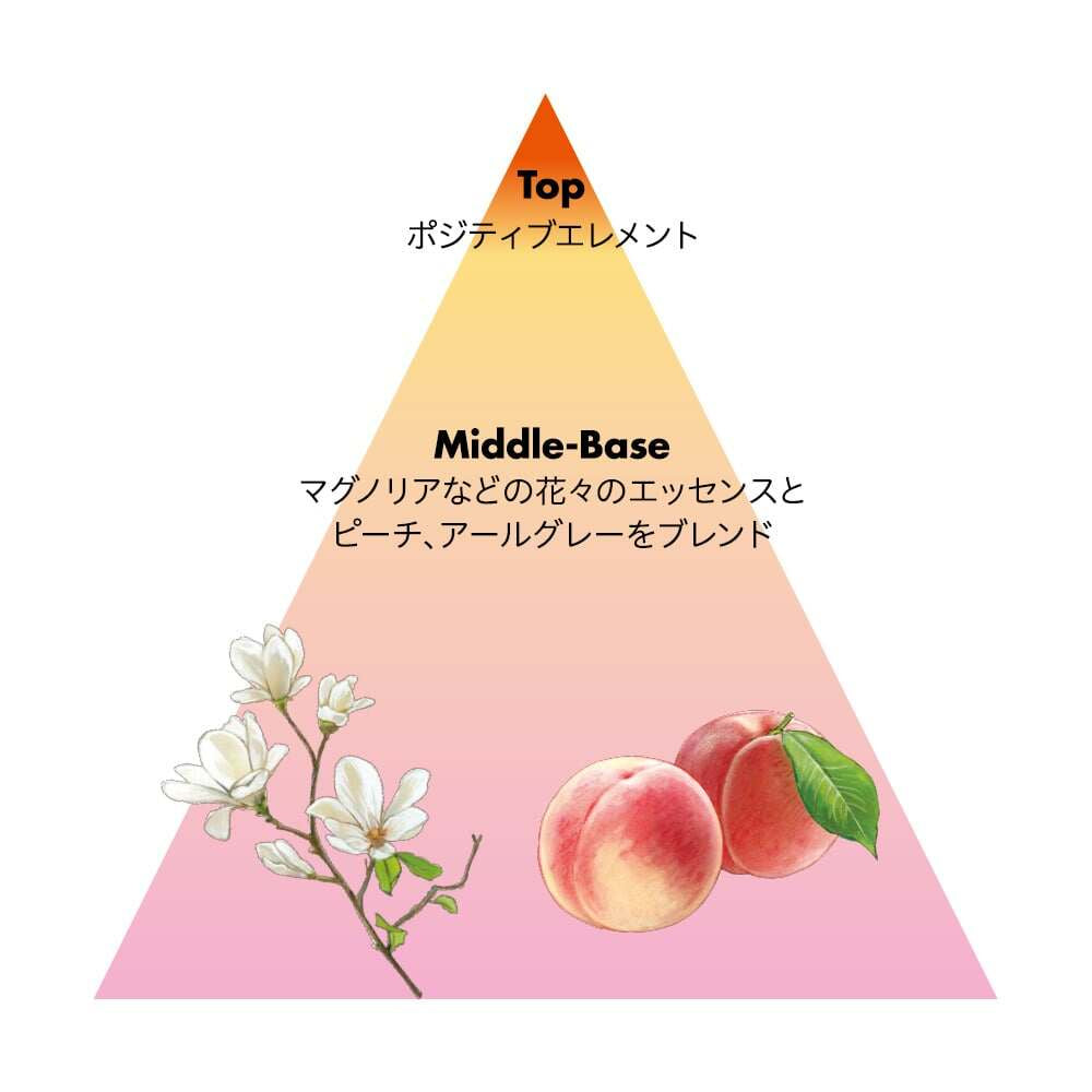 Shiseido Sublimic Airy Flow Shampoo Series Bottle / Refill