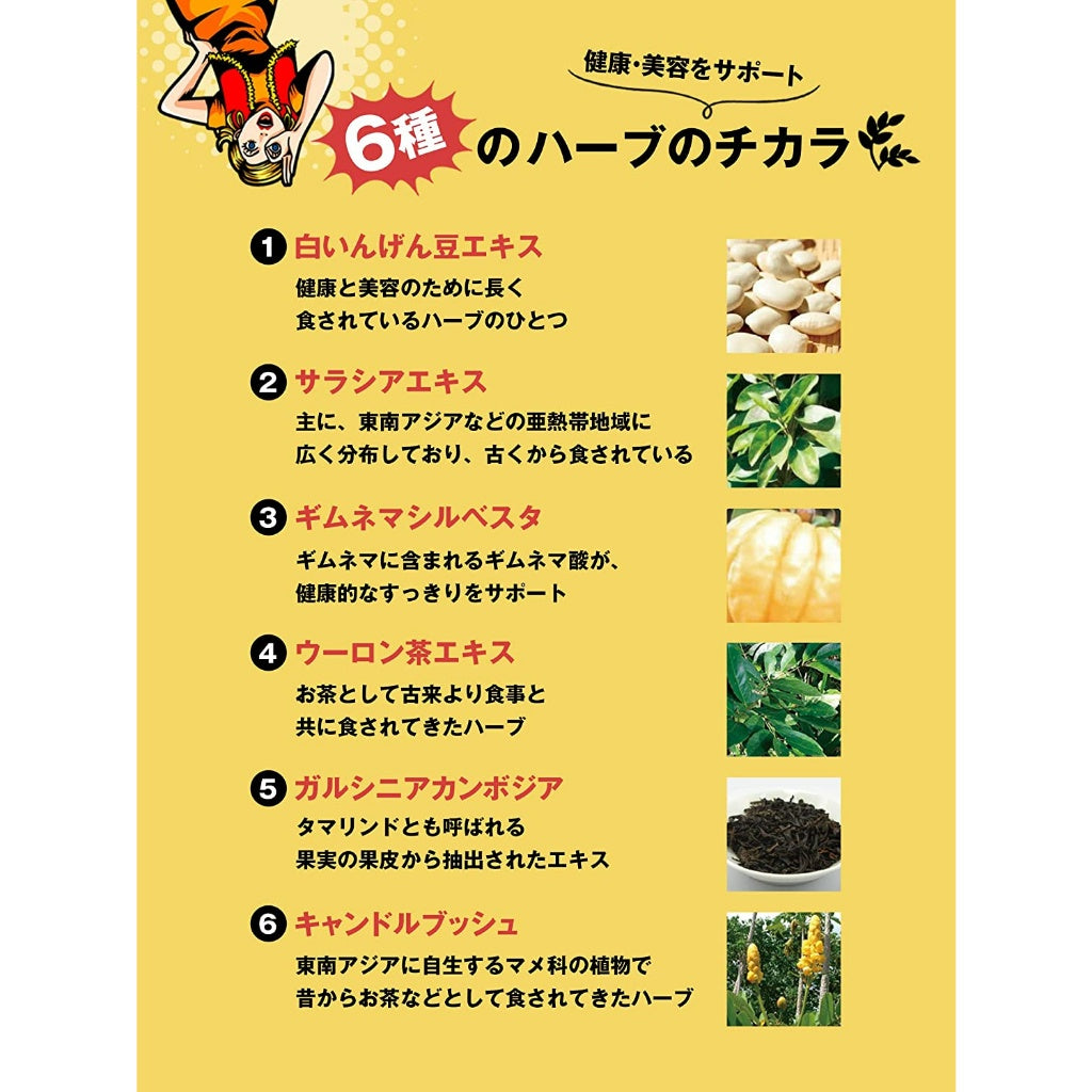 Svelty 3X Pakkun Decomposing Yeast Premium / Black ginger