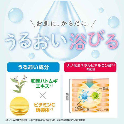 Rohto Hada Labo kiwamizu Adlay + Penetrating Lotion 400mL