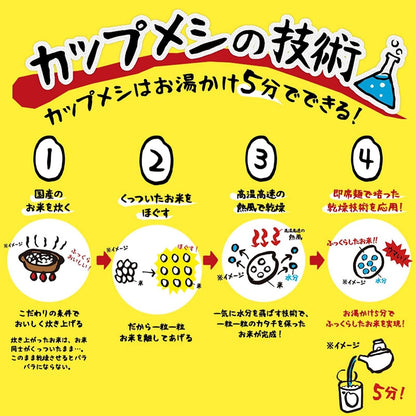 Nissin Demi Glace Hayashi Instant Rice (1 cup)