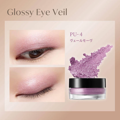 Visee Glossy Eye Veil Eyeshadow 5g