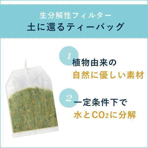 ITO EN Oi-Ocha Tea Bags -  Matcha  with Green Tea / Genmaicha / Hojicha (20 bags)