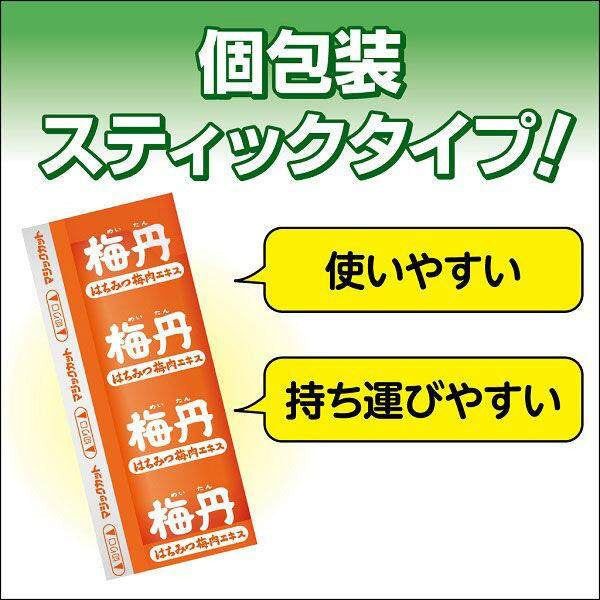 Kobayashi Meitan Honey Plum Extract Supplement (60g)