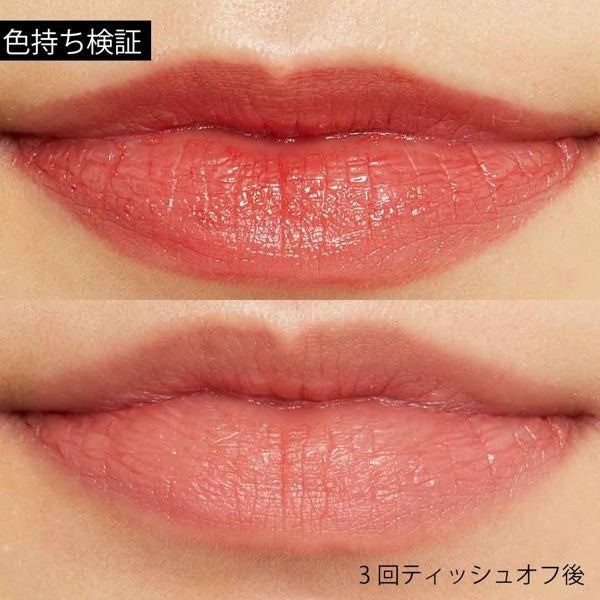 CANMAKE Melty Luminous Rouge 02 Pinky Red / 05 Strawberry Mocha