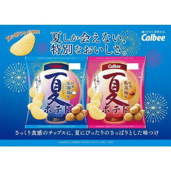 Calbee Summer Potato Chips -Azumino Wasabi / Sour Plum / Hamami Salt (61g)