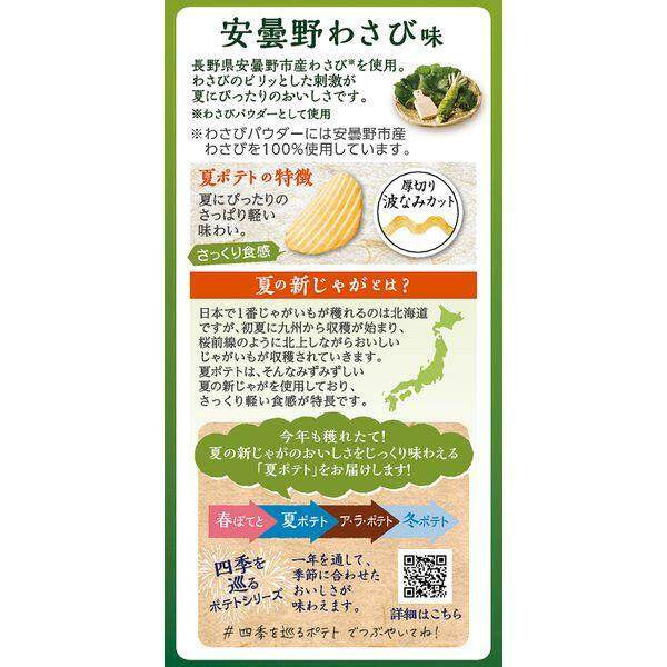 Calbee Summer Potato Chips -Azumino Wasabi / Sour Plum / Hamami Salt (61g)