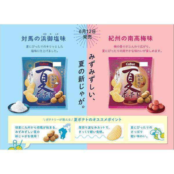 Calbee Summer Potato Chips -Azumino Wasabi / Sour Plum / Hamami Salt (61g)