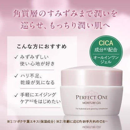 Raffine PERFECT ONE Moisture Gel 75g