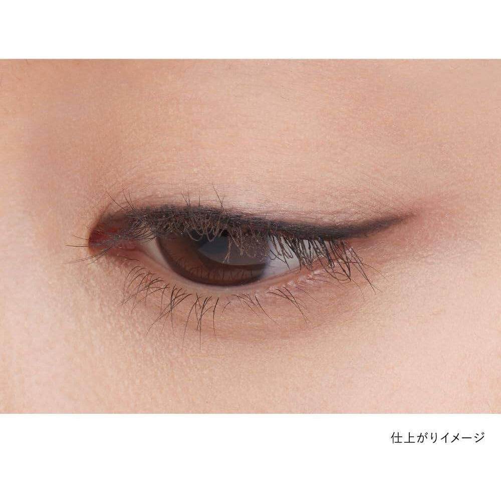 Kanebo Shadow Gel Eyeliner