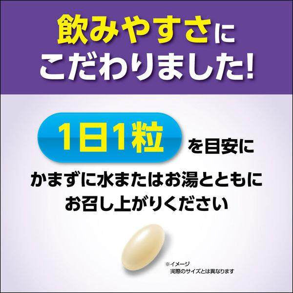 Kobayashi Nightmin Sleeping Power Stress Countermeasure Supplement 15 tablets