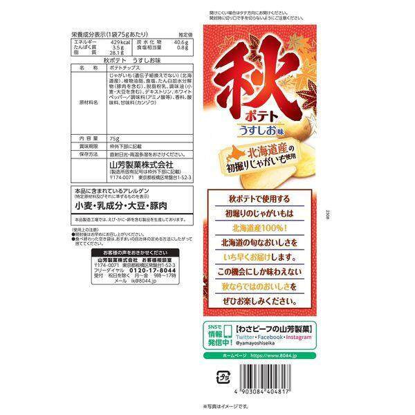 Yamayoshi Autumn Potato Chips - Butter Soy Sauce / Lightly Salted (75g)