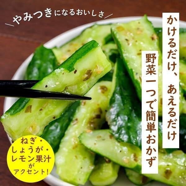 Kewpie Sauce fore Vegetables - Green Onion & Salt Garlic / Soy Sesame with Sesame Oil (300mL)