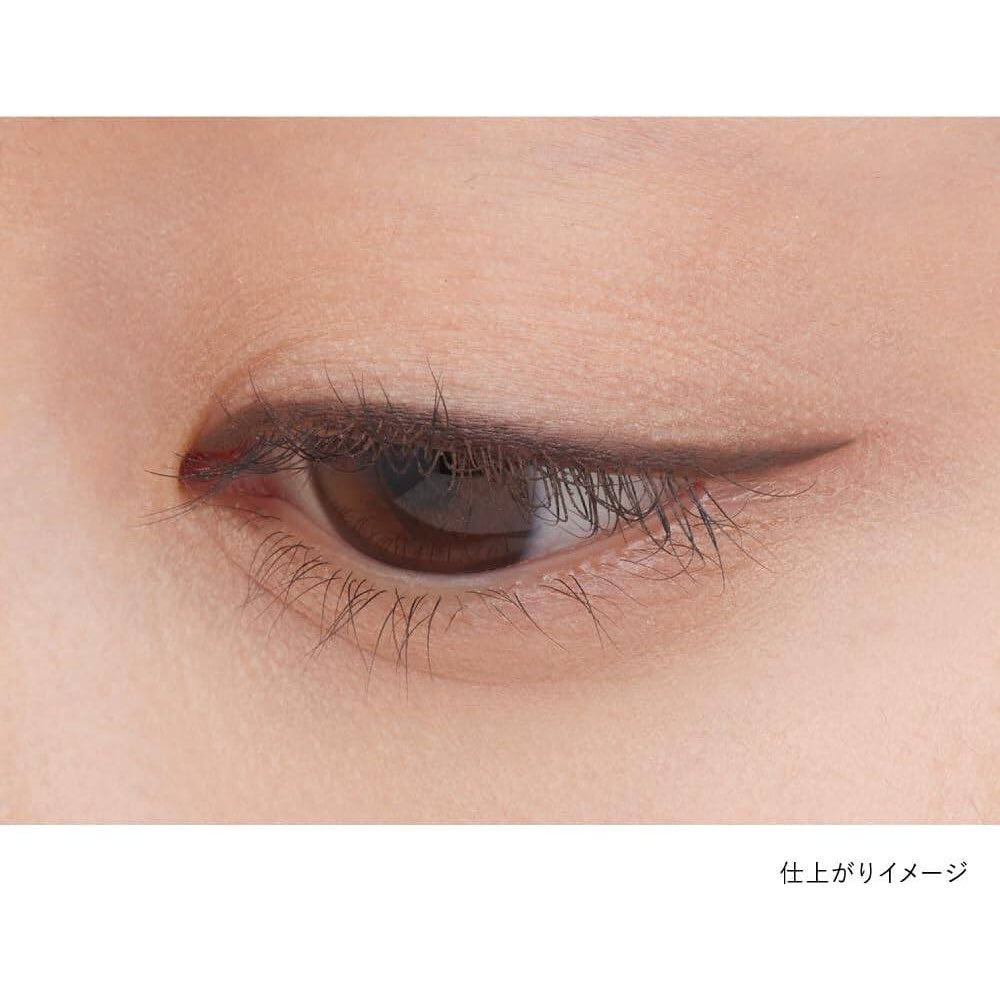 Kanebo Shadow Gel Eyeliner