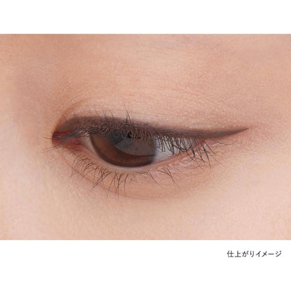 Kanebo Shadow Gel Eyeliner