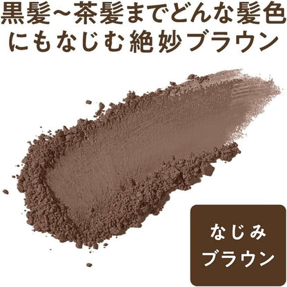 Cezanne Hair and Makeup Powder - Brown