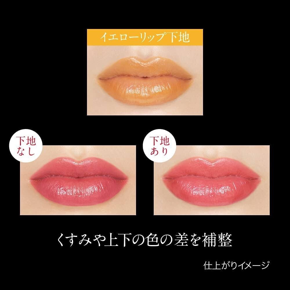 Kanebo Kate Lip Color Control Base - EX-1