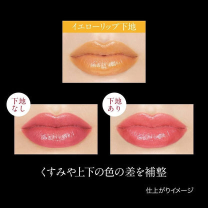 Kanebo Kate Lip Color Control Base - EX-1