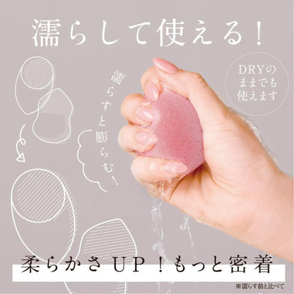 Shobido Flocky 3D Makeup Sponges