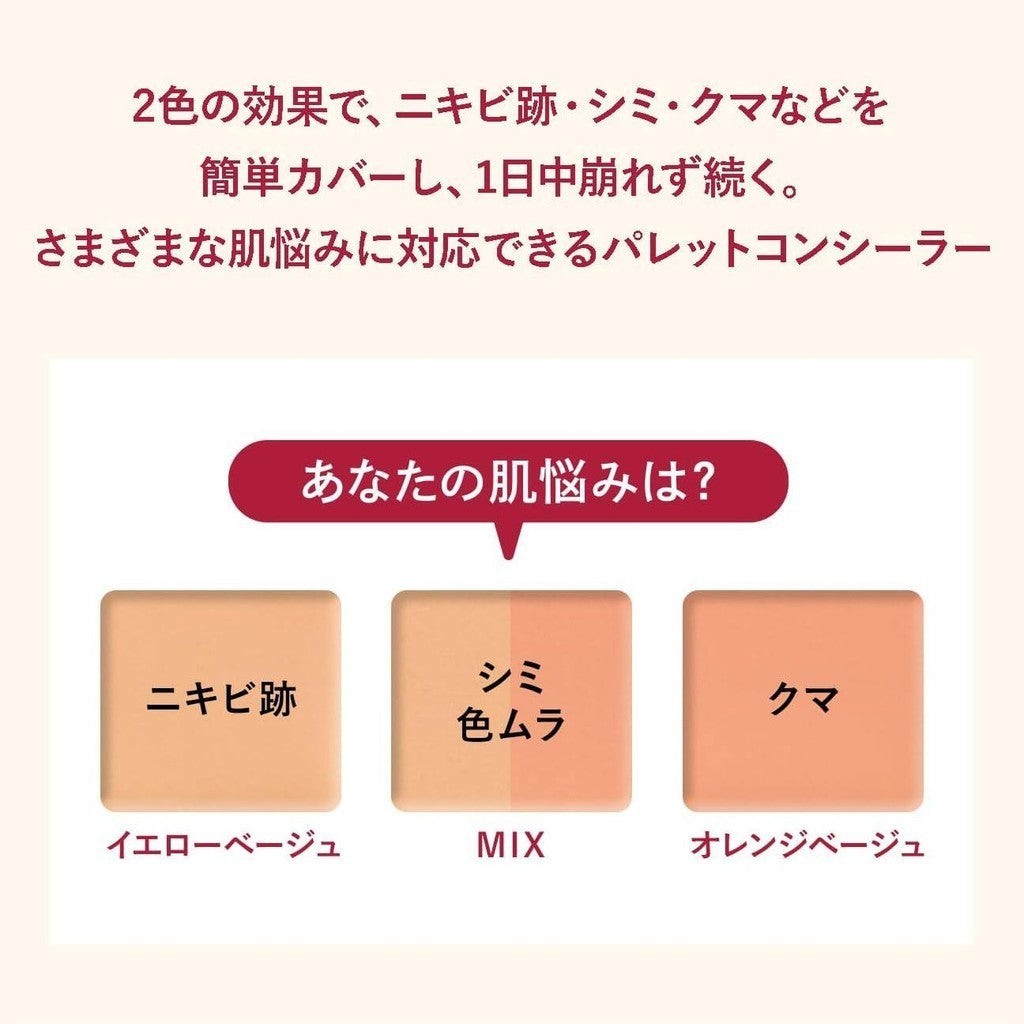 Shiseido Integrate Melty Fit Concealer (4g)