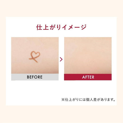 Shiseido Integrate Melty Fit Concealer (4g)