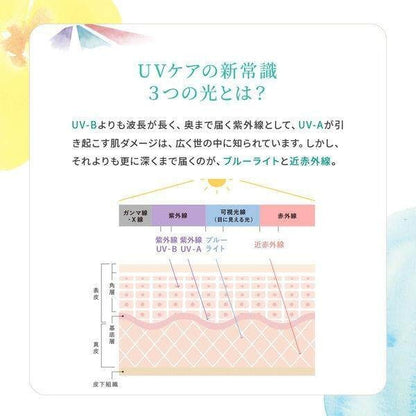 Naturaglace UV Protection Base 2024 30ml / Powder Compact 2024 12g (SPF50+/PA++++)