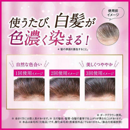 DHC Premium Hair Color Treatment SS Black /  Black Brown /  Dark Brown /  Light Brown  (150g)