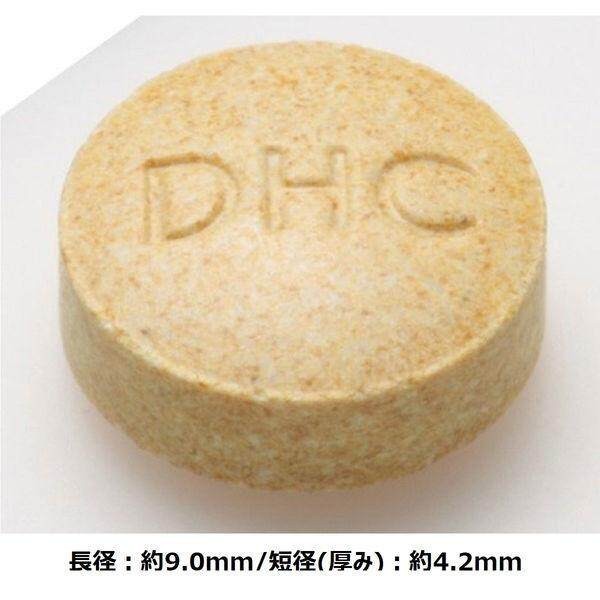 DHC Ginkgo Biloba Brain Alpha for 20 Days