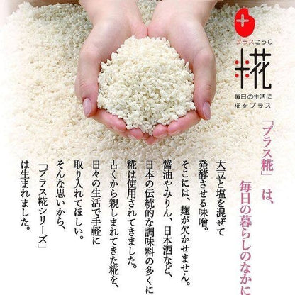 Marukome Plus Koji Salt Koji Powder (150g)