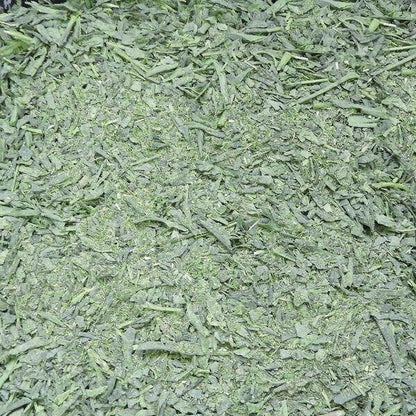 Ooigawachaen Sencha green tea leaves with matcha 1 kg