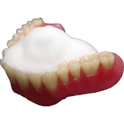 Bee Brand Denture Cleaner Dent Mousse Refill Bottle 300g