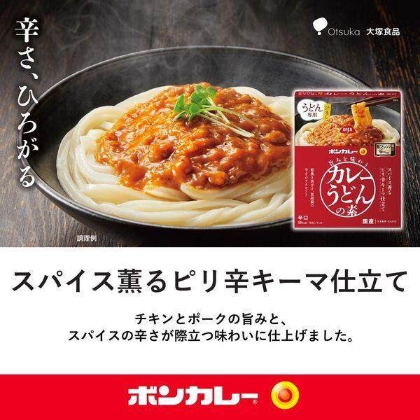 Otsuka Bon Curry Curry Udon Mix Medium Hot Japanese Soup Style / Hot Spicy Keema Style