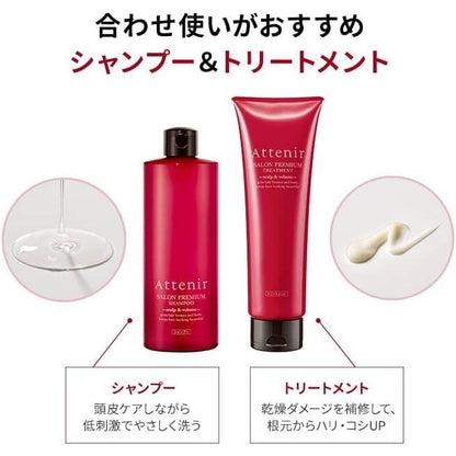 Attenir Salon Premium Shampoo & Treatment - Regular / Scalp & Volume