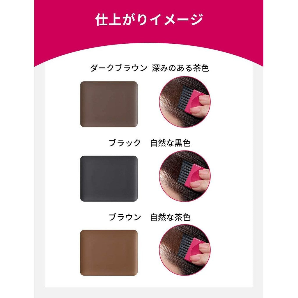 Shiseido Prior Hair Foundation (One Day Color) Dark Brown / Black / Brown